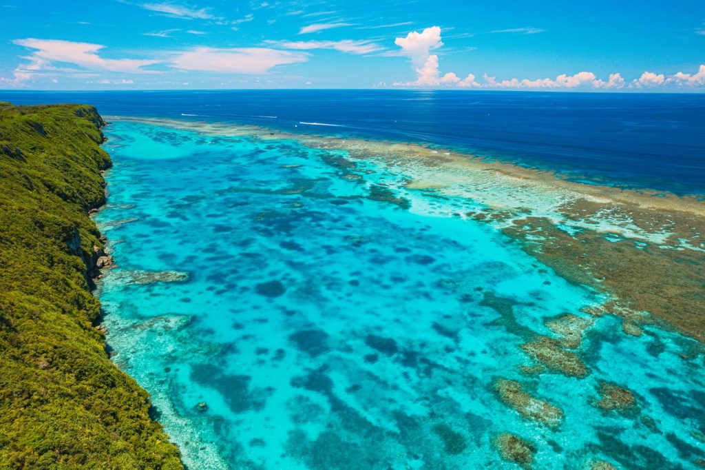 チケット・トゥ・パラダイス