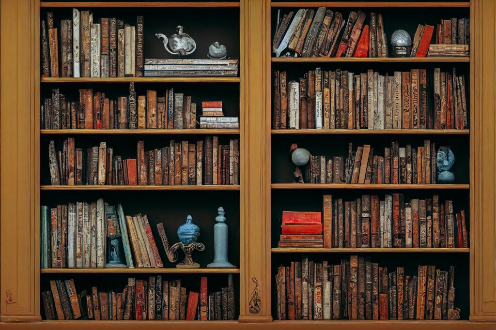 『博士と彼女のセオリー』