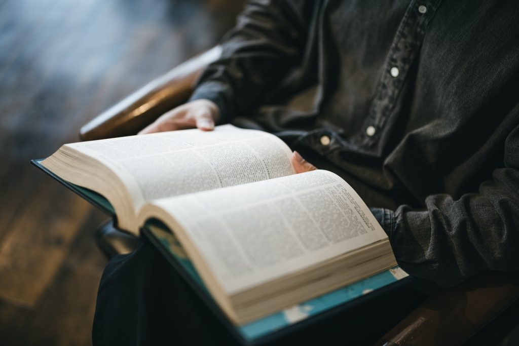 「騙し絵の牙」