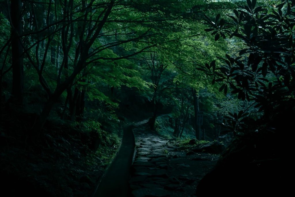 ONODA一万夜を越えて