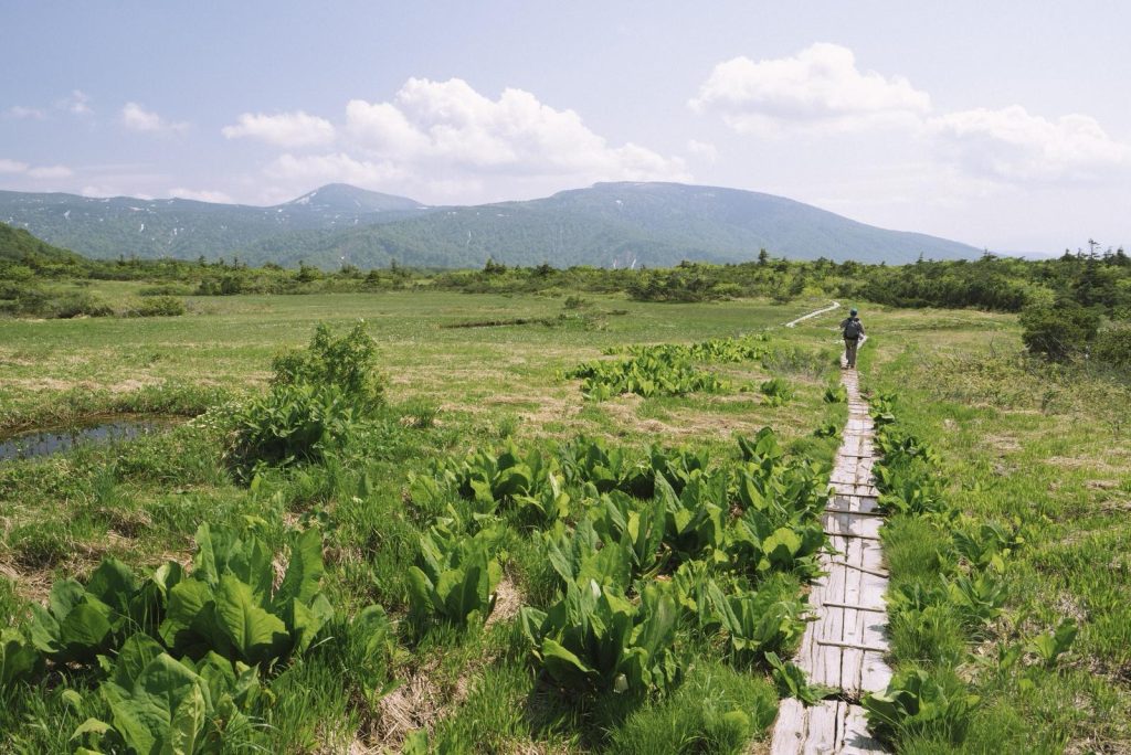 ソロ活女子のススメ